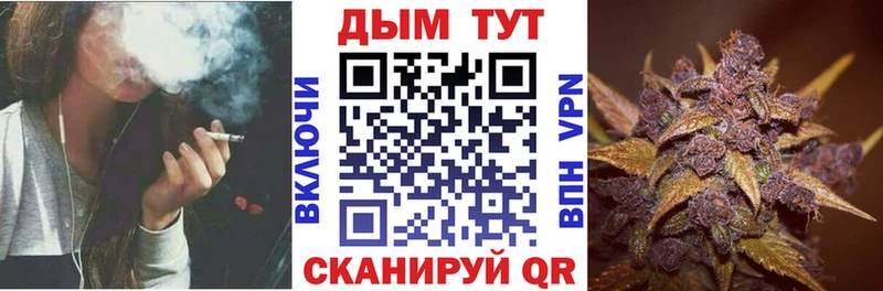 наркошоп  omg как войти  Каннабис гибрид  Железногорск-Илимский 